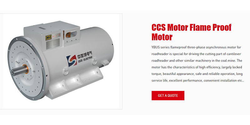 CSS-Motor-Flame-Proof-Motors.jpg